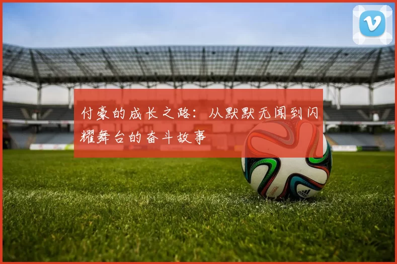 付豪的成长之路：从默默无闻到闪耀舞台的奋斗故事